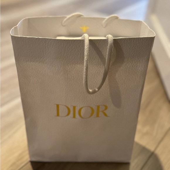DIOR Saddle Long Wallet with Chain - Picture 7 of 7